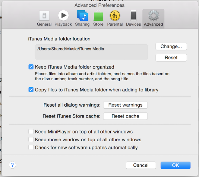 iTunes Media Settings